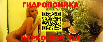 сатива Конаково
