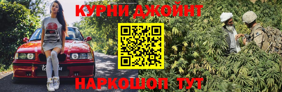 Каннабис сатива  Каннабис AK-47  Шишки марихуана планчик  Вход с VPN  Марихуана Bruce Banner  Камышлов 